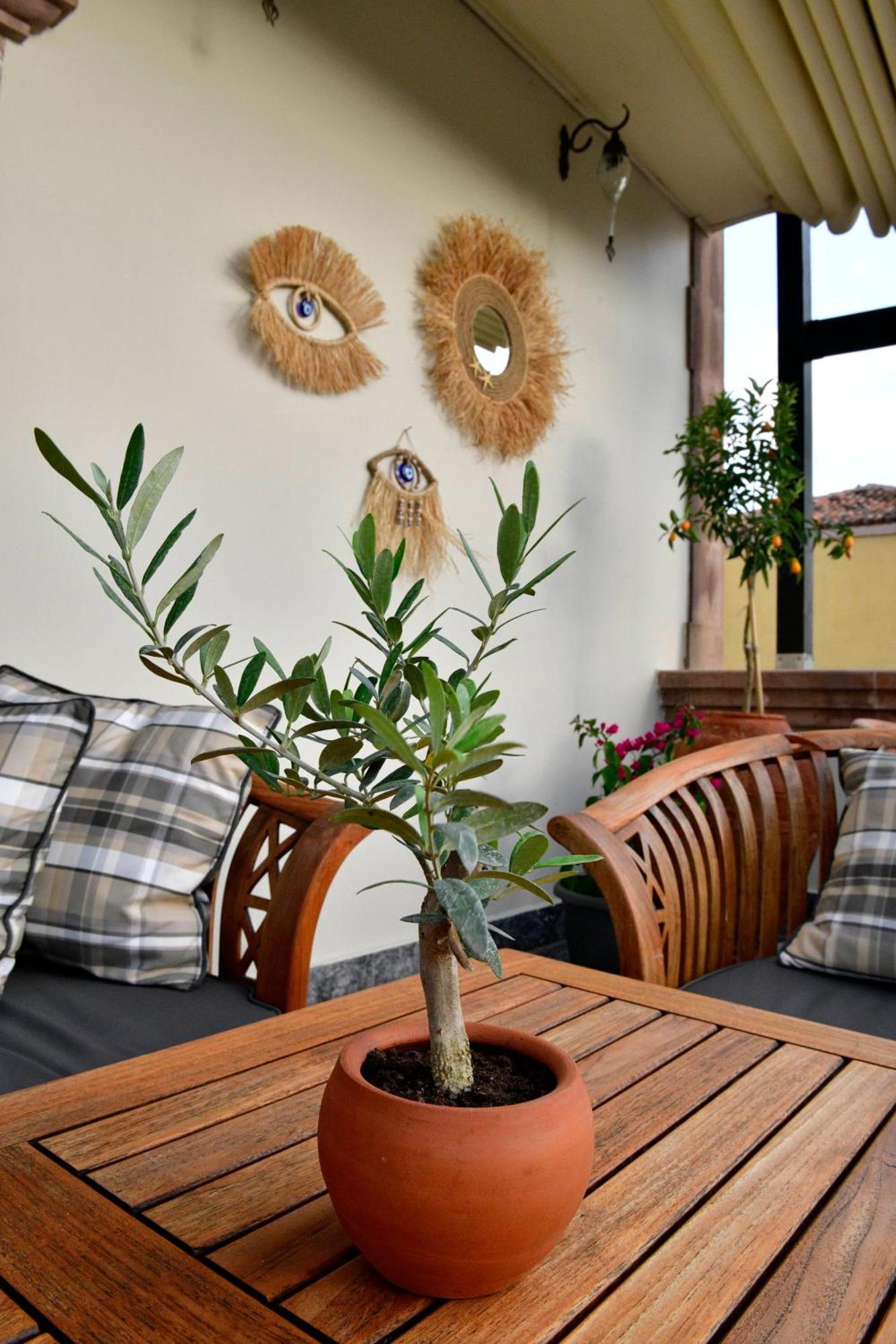 Siyah Lale Cunda 1841 (Adults Only) Hotel Аявали Екстериор снимка