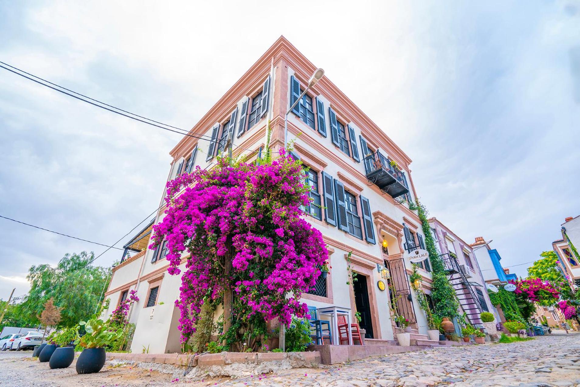 Siyah Lale Cunda 1841 (Adults Only) Hotel Аявали Екстериор снимка