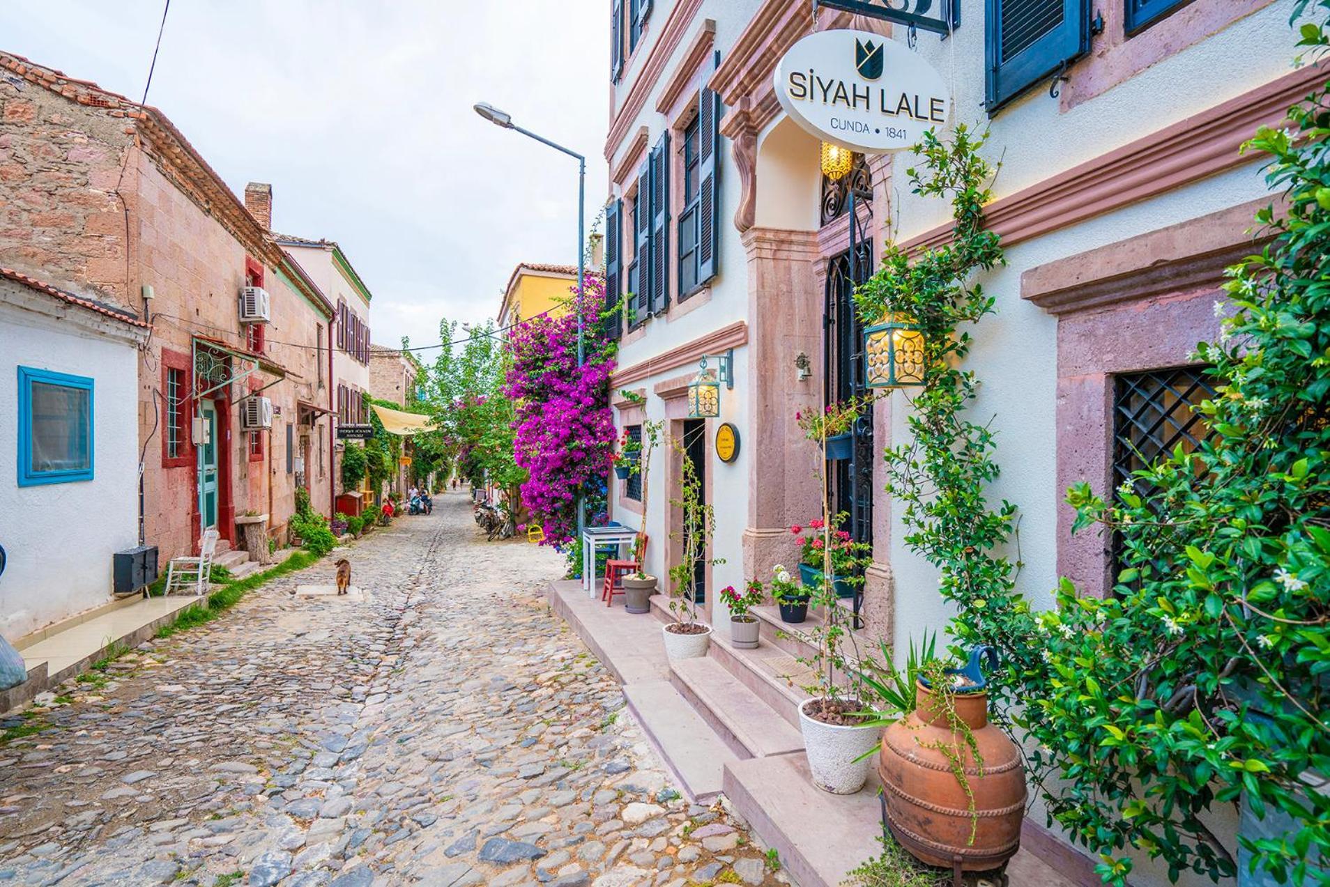 Siyah Lale Cunda 1841 (Adults Only) Hotel Аявали Екстериор снимка