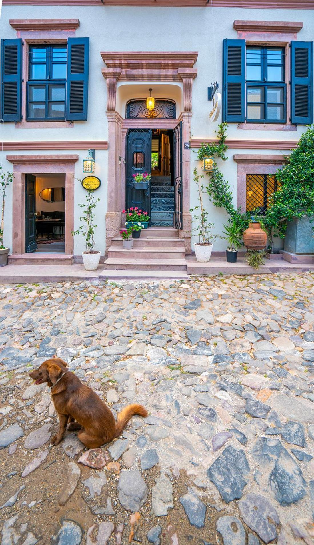 Siyah Lale Cunda 1841 (Adults Only) Hotel Аявали Екстериор снимка